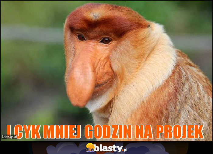 I CYK MNIEJ GODZIN NA PROJEK I CYK MNIEJ GODZIN NA PROJEK