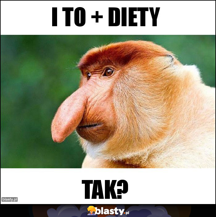 i to + diety i to + diety