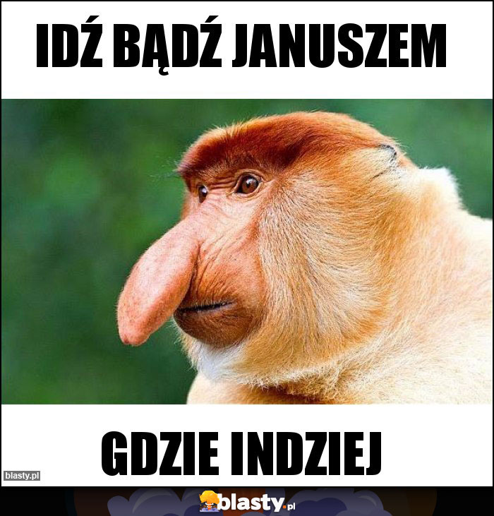 Idź bądź Januszem Idź bądź Januszem