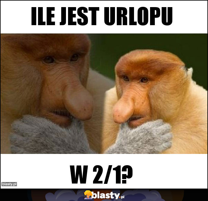 Ile jest urlopu Ile jest urlopu