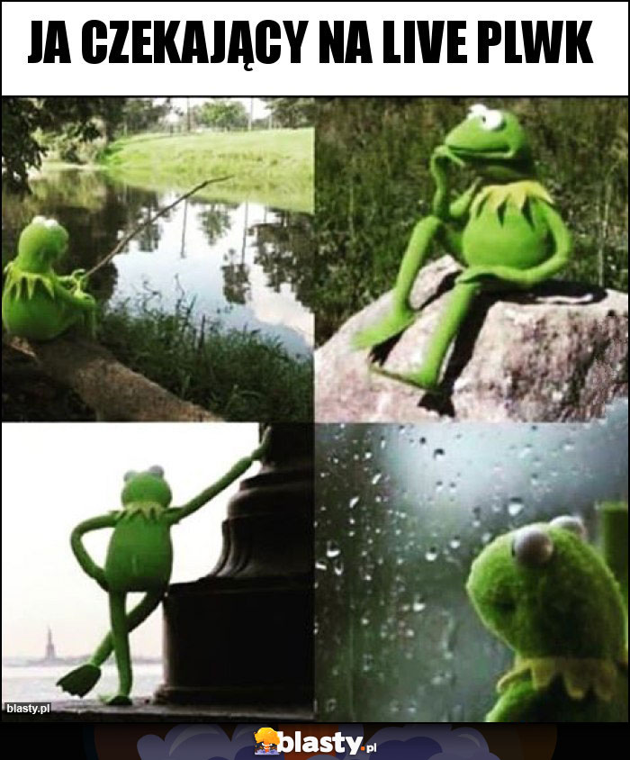 Ja czekający na live PLWK Ja czekający na live PLWK