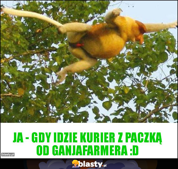 Ja - gdy idzie kurier z paczką od ganjafarmera :D