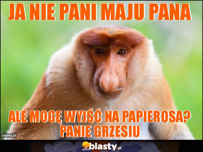 Ja nie pani maju Pana Ja nie pani maju Pana