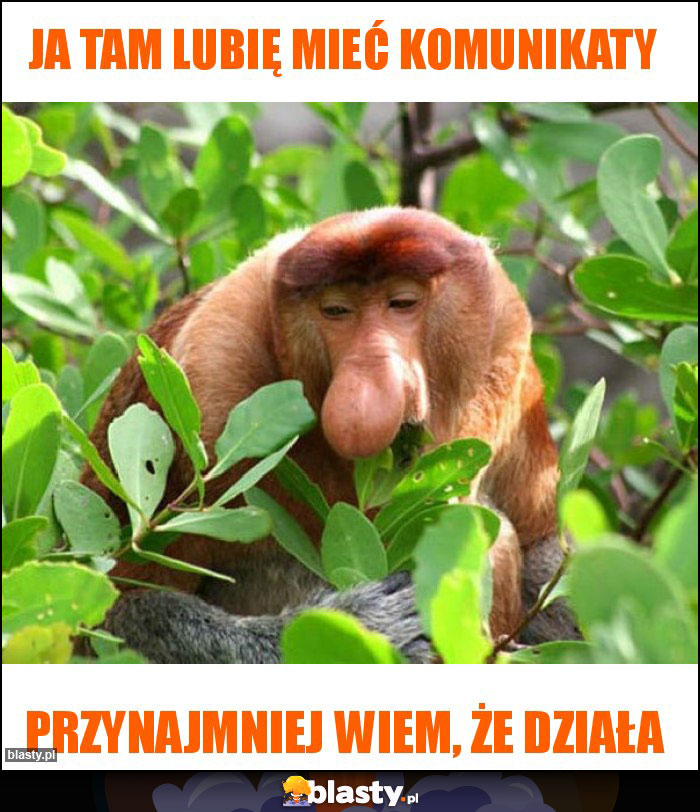 Ja tam lubię mieć komunikaty Ja tam lubię mieć komunikaty