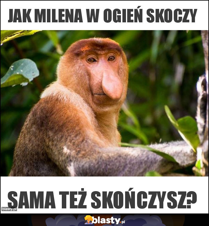 jak Milena w ogień skoczy