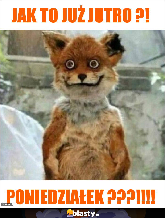 Jak to już jutro ?! Jak to już jutro ?!
