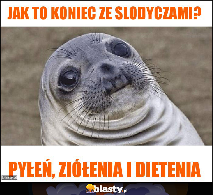 Jak to koniec ze slodyczami? Jak to koniec ze slodyczami?
