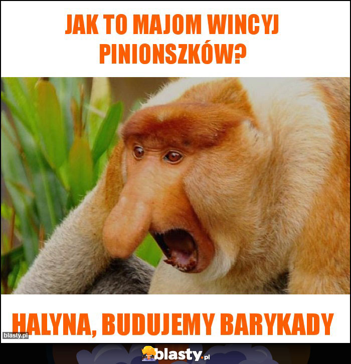 Jak to majom wincyj pinionszków? Jak to majom wincyj pinionszków?