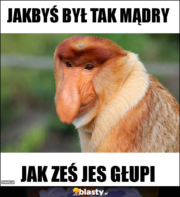 Jakbyś był tak mądry Jakbyś był tak mądry