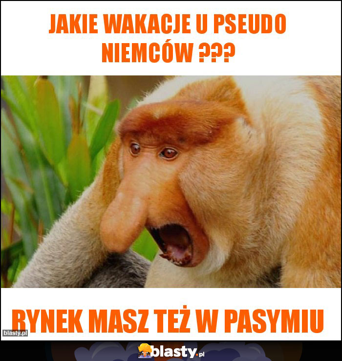 Jakie wakacje u pseudo Niemców ??? Jakie wakacje u pseudo Niemców ???