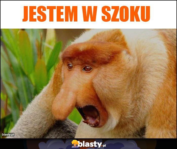 Jestem w szoku Jestem w szoku