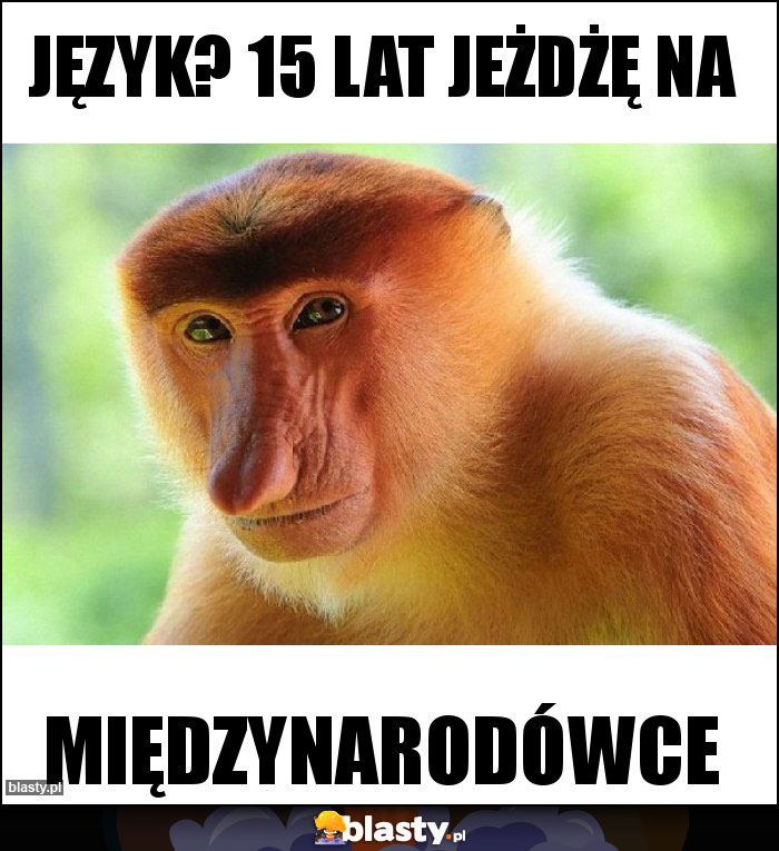 Język? 15 lat jeżdżę na Język? 15 lat jeżdżę na