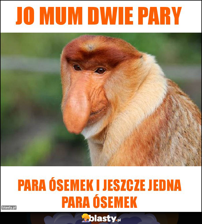 Jo mum dwie pary Jo mum dwie pary