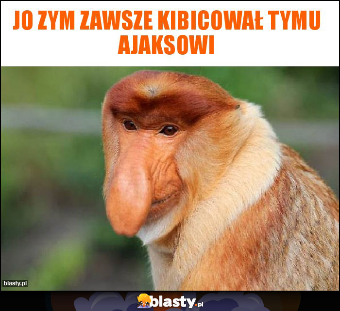 Jo zym zawsze kibicował tymu ajaksowi