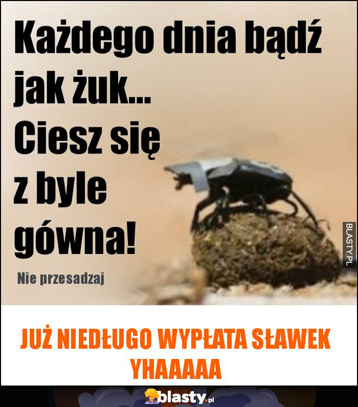 Już niedługo wypłata sławek yhaaaaa Już niedługo wypłata sławek yhaaaaa