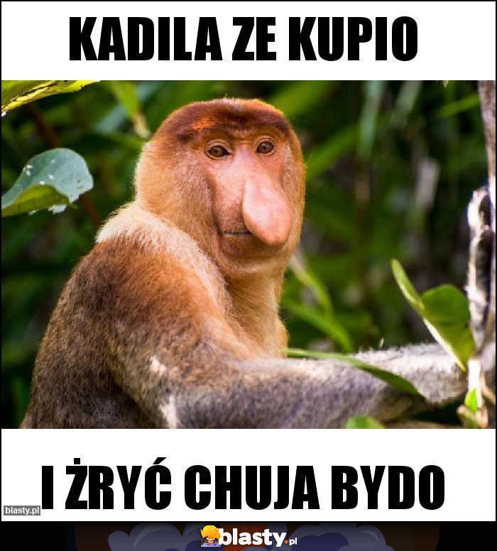 Kadila ze kupio Kadila ze kupio