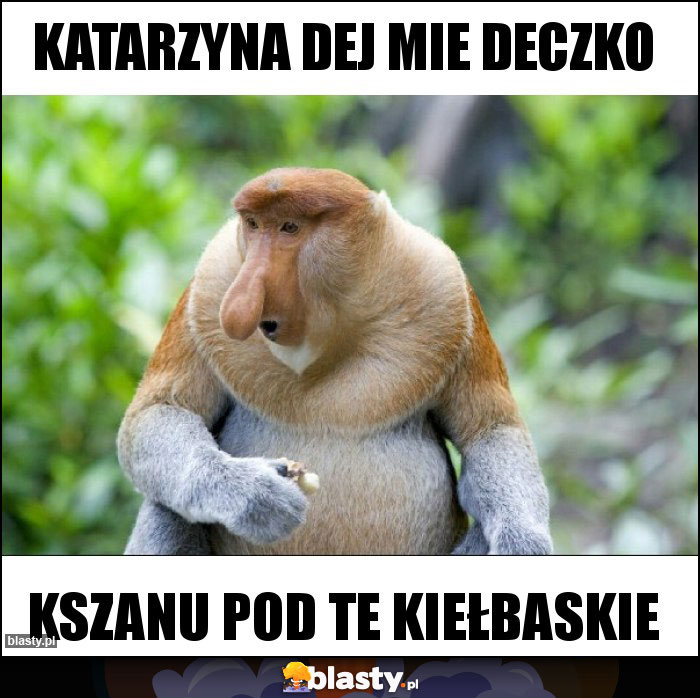 KATARZYNA DEJ MIE DECZKO