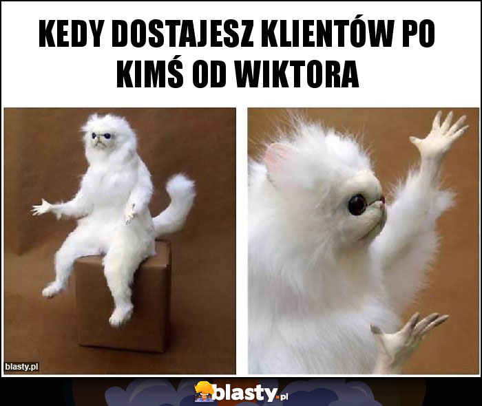 kedy dostajesz klientów po kimś od Wiktora kedy dostajesz klientów po kimś od Wiktora