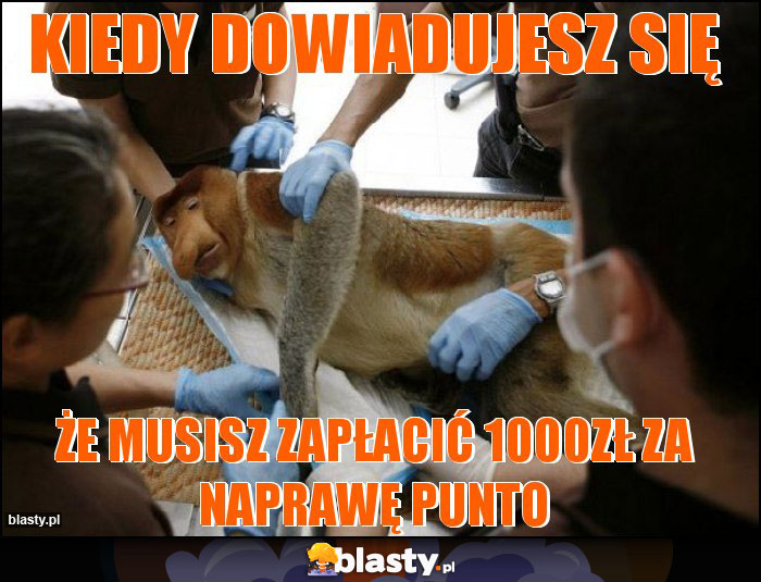 Kiedy dowiadujesz się Kiedy dowiadujesz się