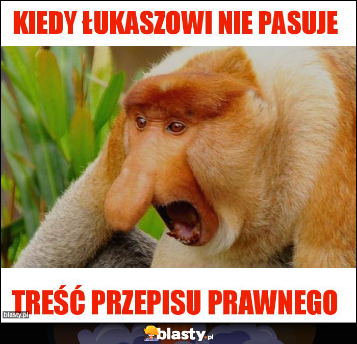 Kiedy Łukaszowi nie pasuje Kiedy Łukaszowi nie pasuje