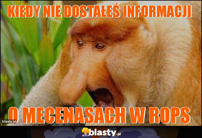 Kiedy nie dostałeś informacji Kiedy nie dostałeś informacji