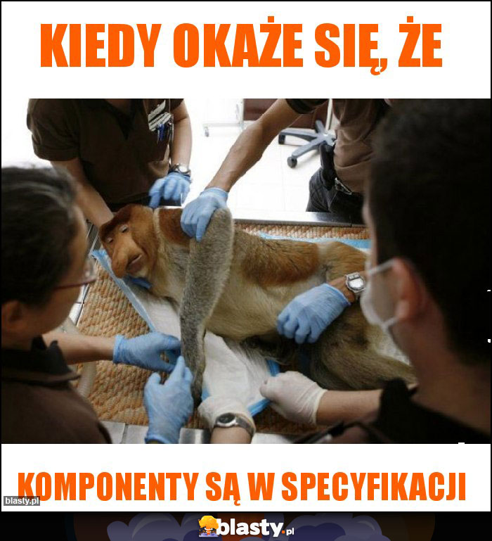 Kiedy okaże się, że Kiedy okaże się, że