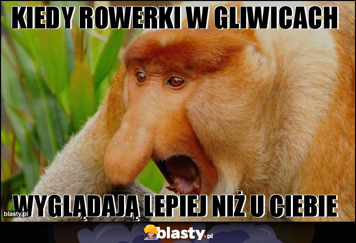 Kiedy rowerki w gliwicach Kiedy rowerki w gliwicach