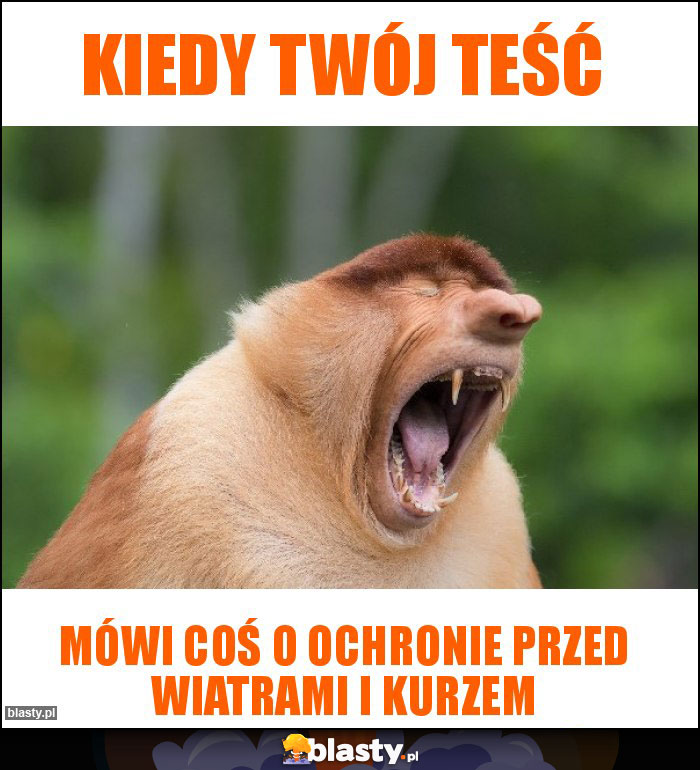 Kiedy twój teść Kiedy twój teść