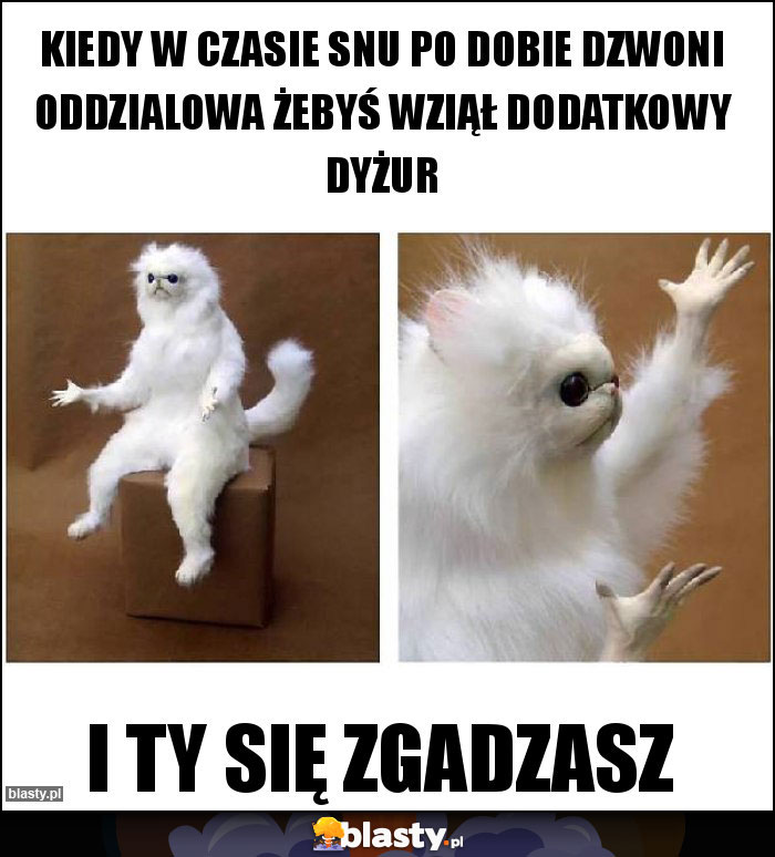 Kiedy w czasie snu po dobie dzwoni oddzialowa żebyś wziął dodatkowy dyżur Kiedy w czasie snu po dobie dzwoni oddzialowa żebyś wziął dodatkowy dyżur