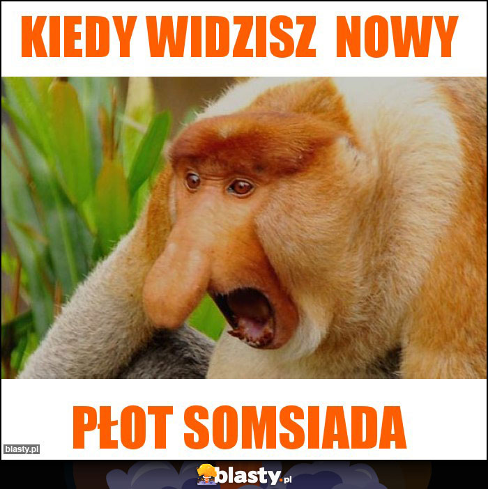 Kiedy widzisz  nowy