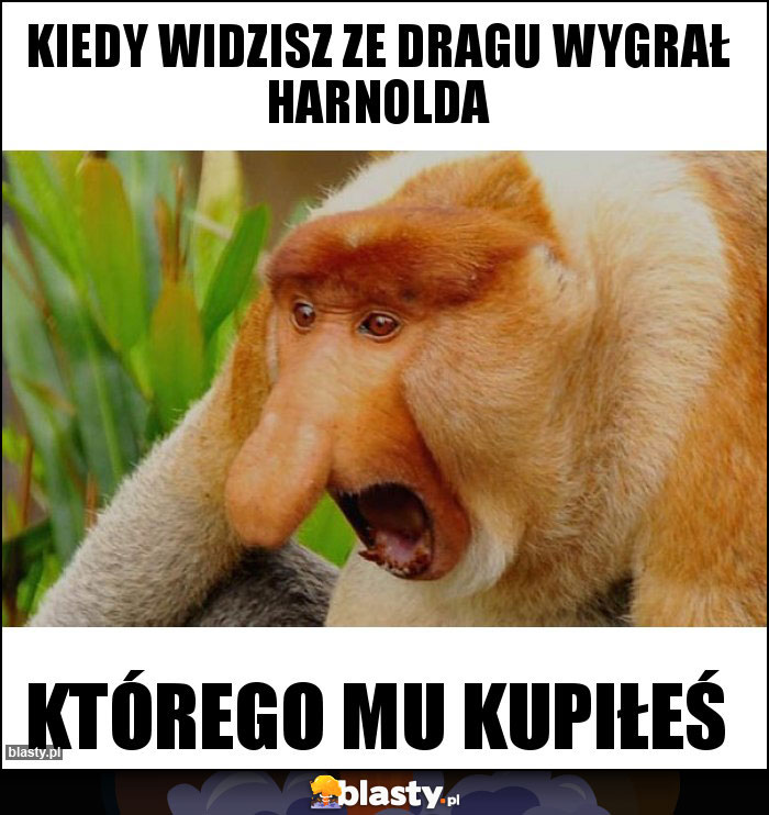 Kiedy widzisz ze dragu wygrał harnolda Kiedy widzisz ze dragu wygrał harnolda