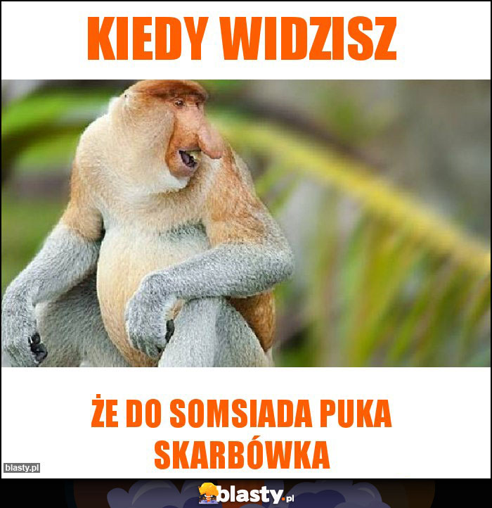 Kiedy widzisz Kiedy widzisz