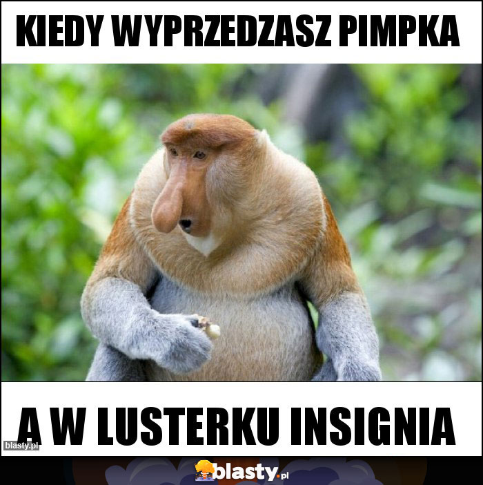 Kiedy wyprzedzasz Pimpka Kiedy wyprzedzasz Pimpka