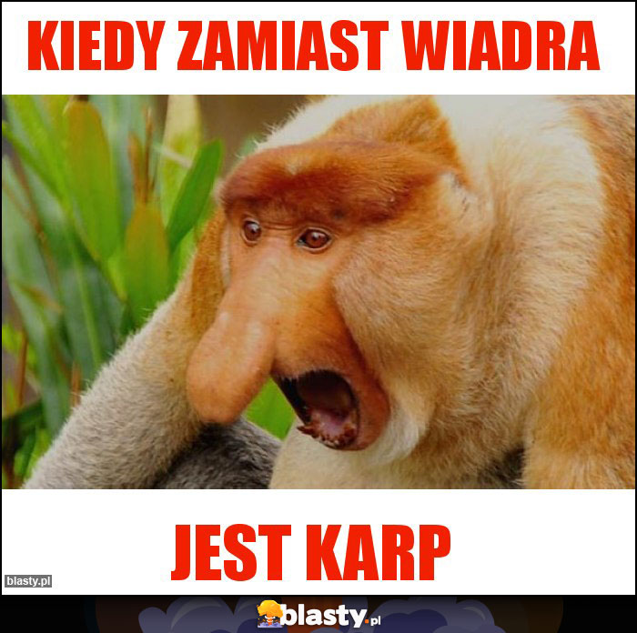 Kiedy zamiast wiadra Kiedy zamiast wiadra