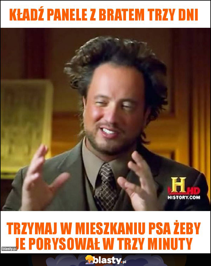 Kładź panele z bratem trzy dni Kładź panele z bratem trzy dni