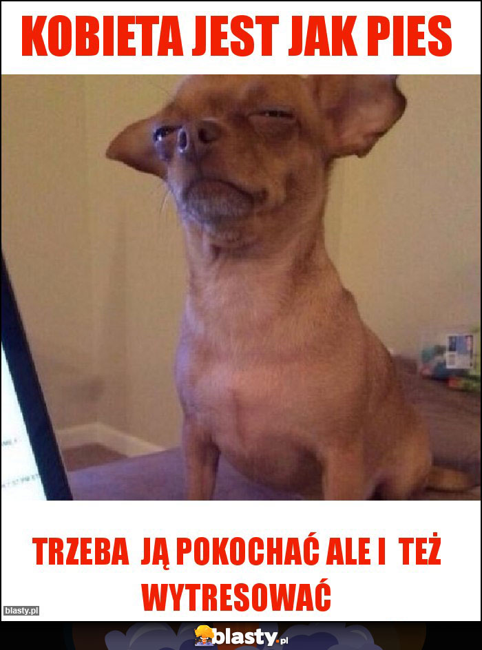 Kobieta jest jak pies Kobieta jest jak pies