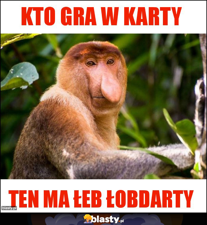 Kto gra w karty Kto gra w karty