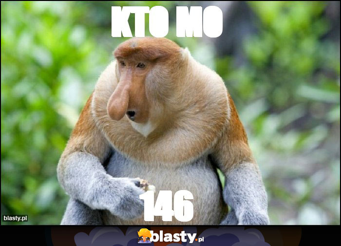 KTO MO