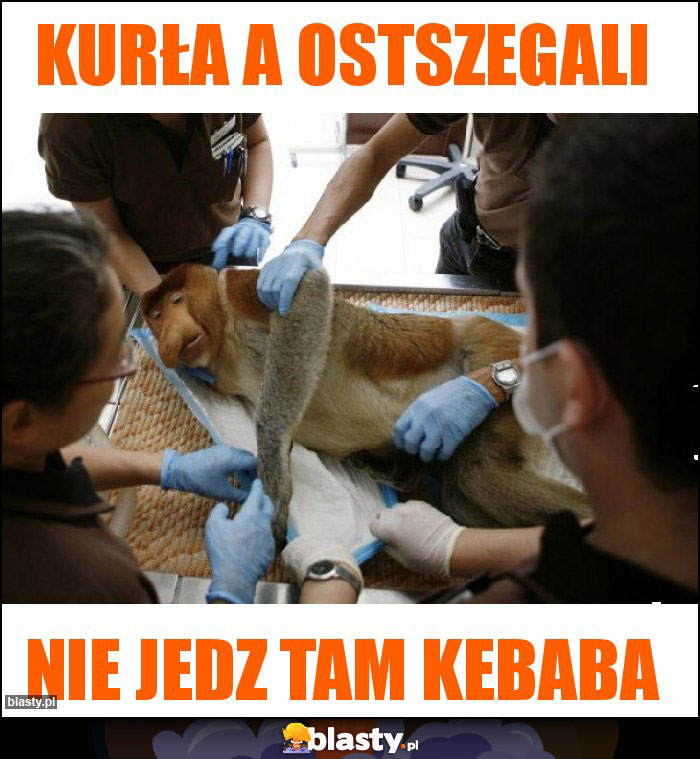 Kurła a ostszegali Kurła a ostszegali
