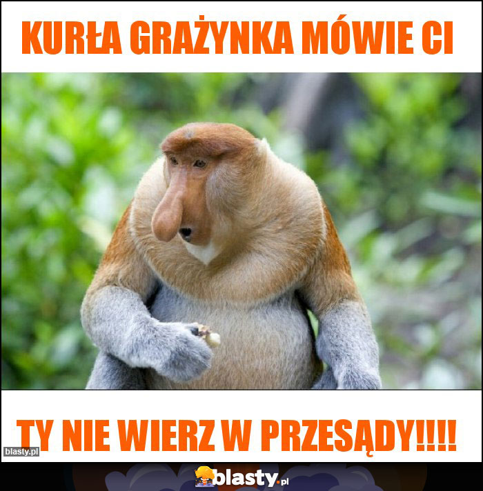 Kurła Grażynka mówie Ci Kurła Grażynka mówie Ci