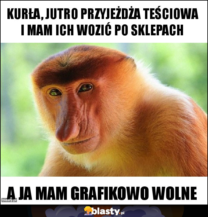 Kurła, jutro przyjeżdża teściowa i mam ich wozić po sklepach Kurła, jutro przyjeżdża teściowa i mam ich wozić po sklepach
