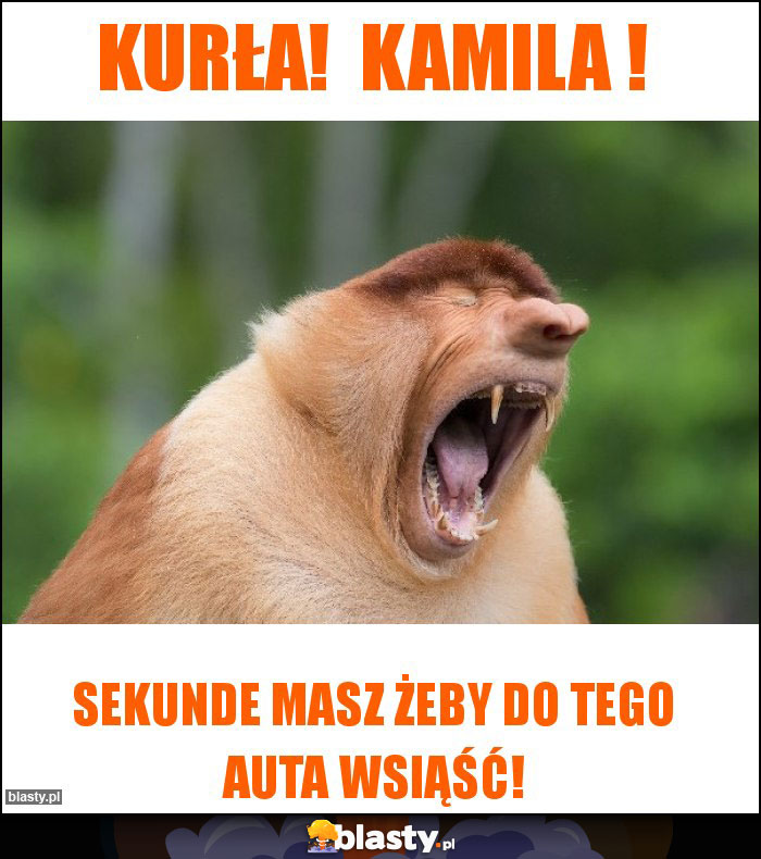 Kurła! Kamila ! Kurła! Kamila !