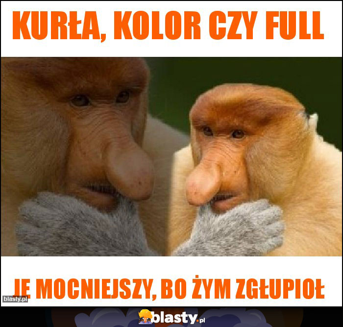 Kurła, kolor czy full Kurła, kolor czy full