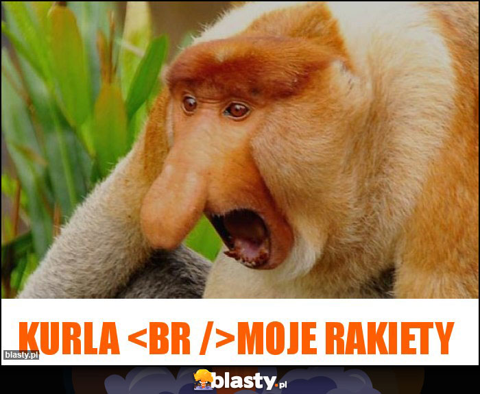 Kurla
Moje rakiety Kurla
Moje rakiety