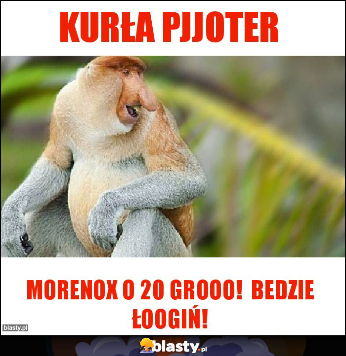 Kurła pjjoter Kurła pjjoter
