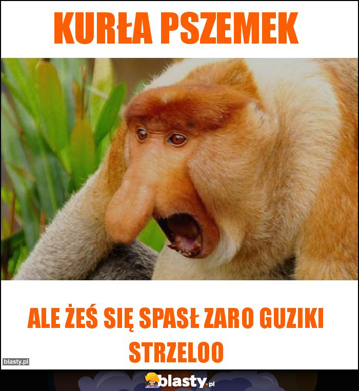 Kurła pszemek Kurła pszemek