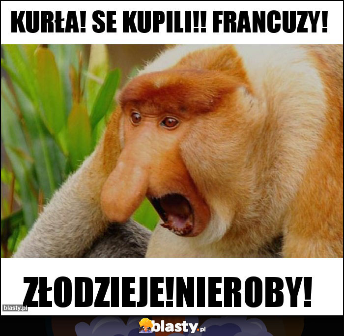 Kurła! Se kupili!! Francuzy! Kurła! Se kupili!! Francuzy!