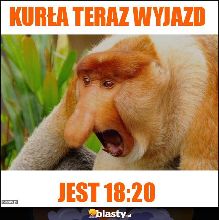 Kurła teraz wyjazd Kurła teraz wyjazd