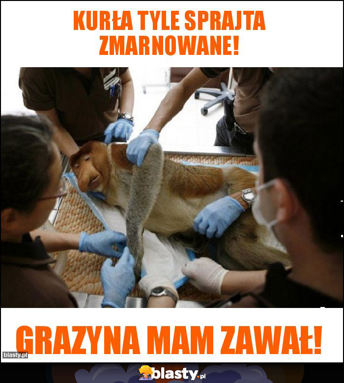Kurła TYLE SPRAJTA ZMARNOWANE! Kurła TYLE SPRAJTA ZMARNOWANE!