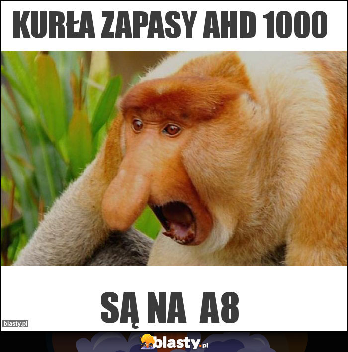 Kurła zapasy ahd 1000 Kurła zapasy ahd 1000